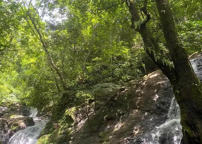 Tropical House In Nosara- 3 Min Walk To The Apartamento *