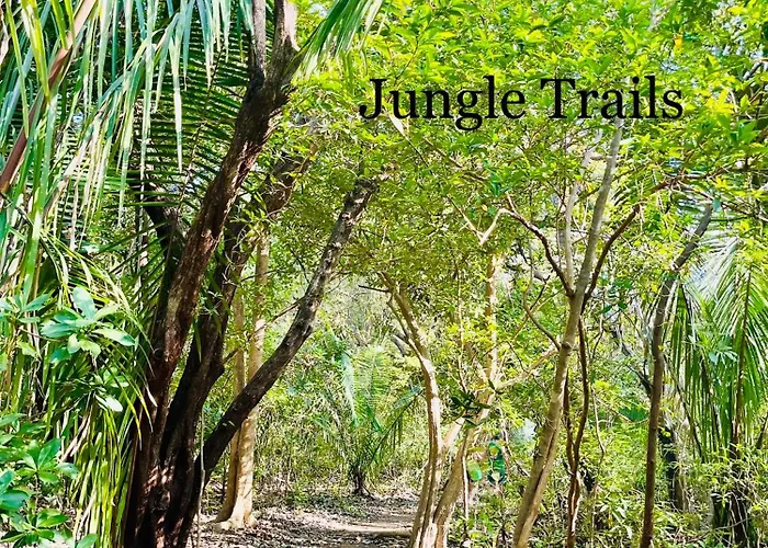 Tropical House In Nosara- 3 Min Walk To The Apartamento Río Seco